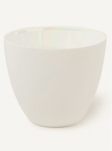  klevering waxine snow parelmoer