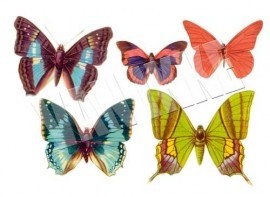 Van Ikke strijkapplicatie: Vlinders