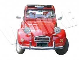 Van ikke strijkapplicatie: Deux chevaux rood.