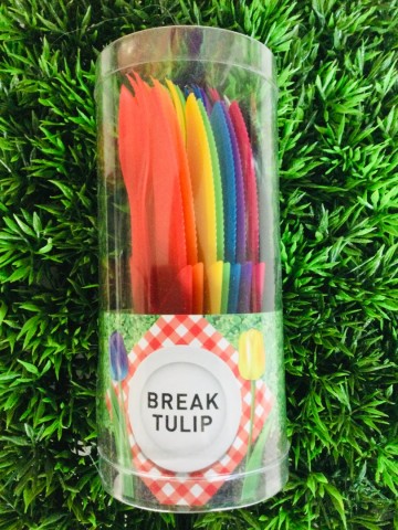 Break tulip 2