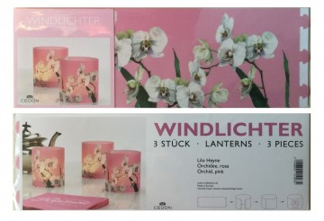 Cedon windlichtje orchidee