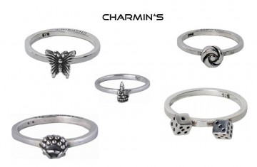 Charmins 18 zilveren ringen