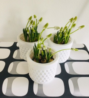 F817f113 e516 46d4 b819 2c3a06b103bd