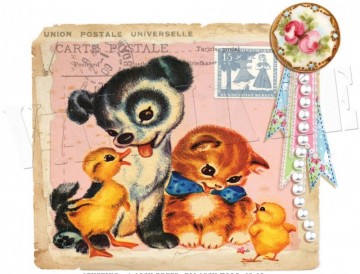 Hond poes en eend applicatie