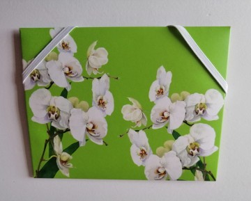 Img20231028121054edit313282435011569