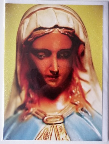 Img20231031112246edit405279693426697