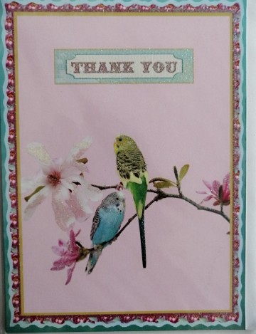 Img20231101133349edit454535506947306