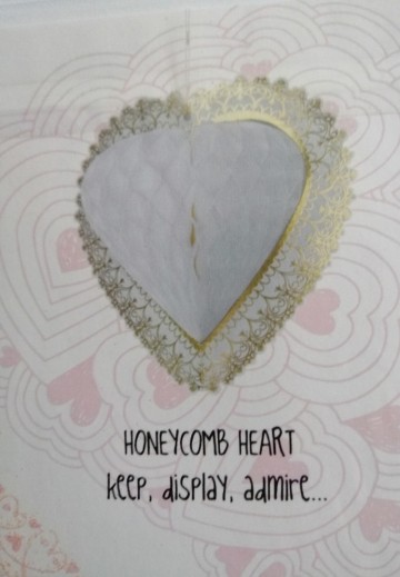 Img20231101153903edit453807131833355