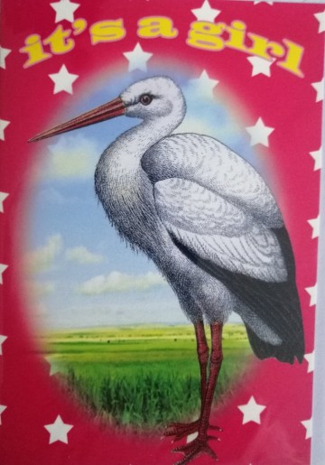 kunstboer kaart girl