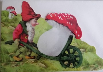 Img20231101154342edit453676519403167