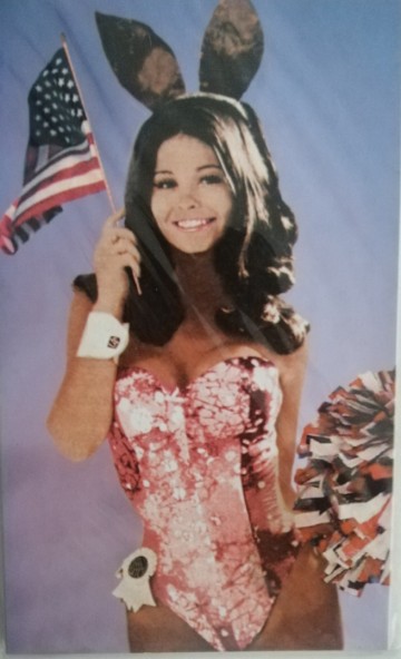 retro kaart bunny USA