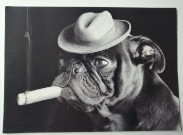 Img20231103092319edit513103273765453