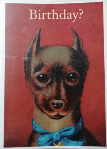 Img20231103092355edit513066463925875