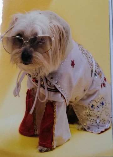 Img20231103093102edit512833223591015