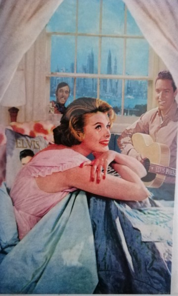 Img20231104144005edit524313848270513