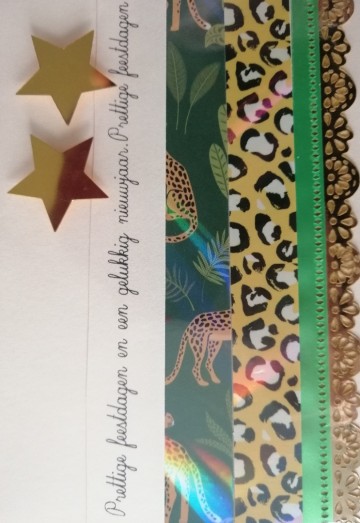 Img20231105103746edit529408583389527