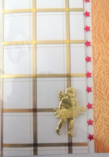 Img20231107084848edit547871336535668