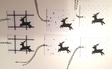 Img20231107164857edit556581167464547 0