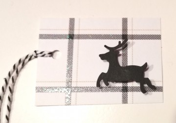 Img20231107165036edit556669695629638 0