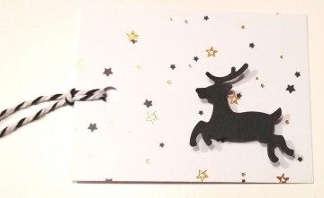 Img20231107165047edit556711157504632 0