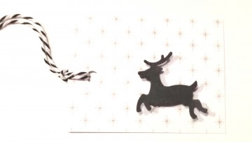 Img20231107165056edit556759975902541