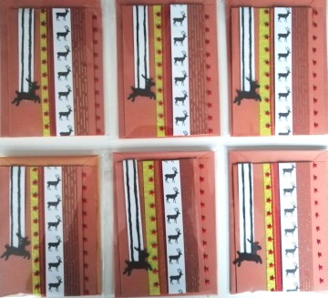 Img20231111093821edit599037153904943