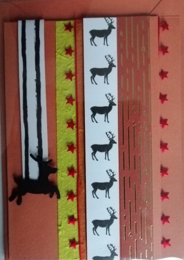 Img20231111093829edit599018263023696