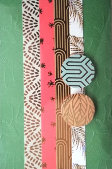 Img20231113095022edit605161897945675