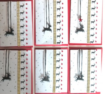 Img20231114133246edit613260700611626