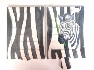 Levende kaart zebra