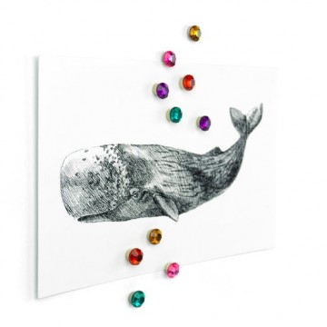 Lucy diamond magneten vb