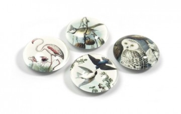 Magnet eye bird set of 4 assorted 1