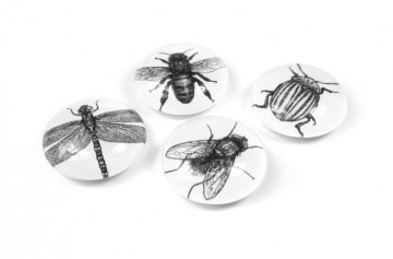 Magnet eye bug set of 4 assorted