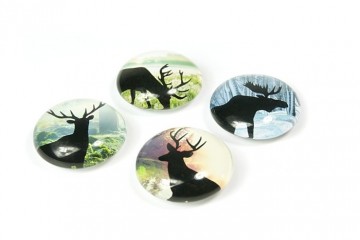 Set/4 eye-magneten: DEER