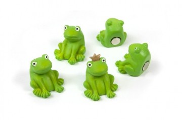Magnet frog set 5 pcs