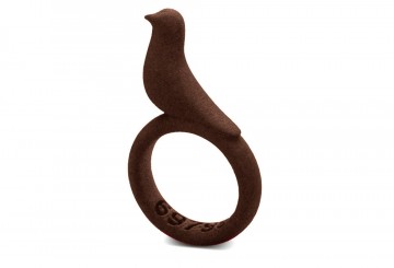 One in a million bird ring: bruin